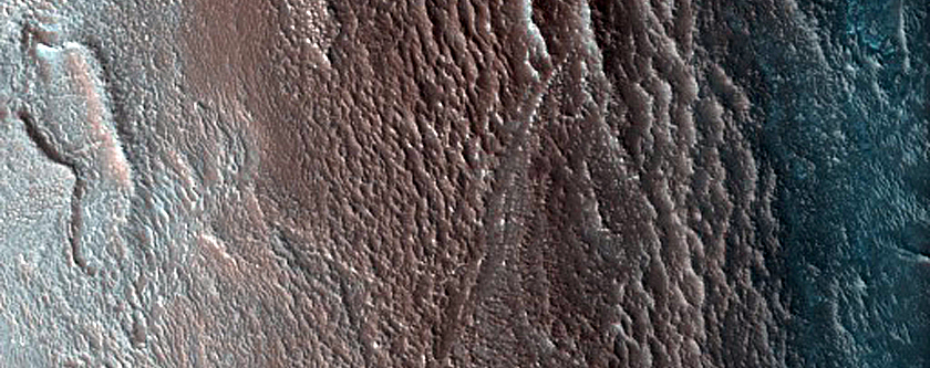 North Polar Monitor Site