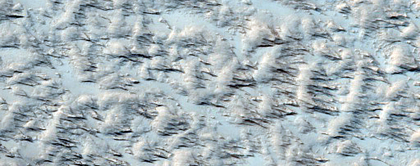 Candidate Recent Impact Site