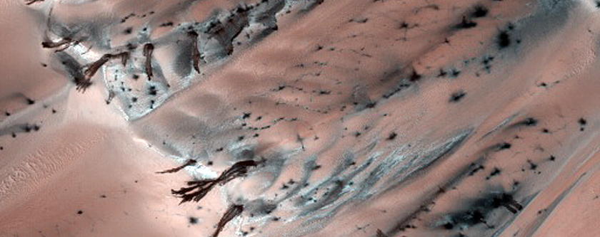 North Polar Dunes