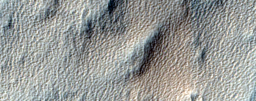 Terrain Sample