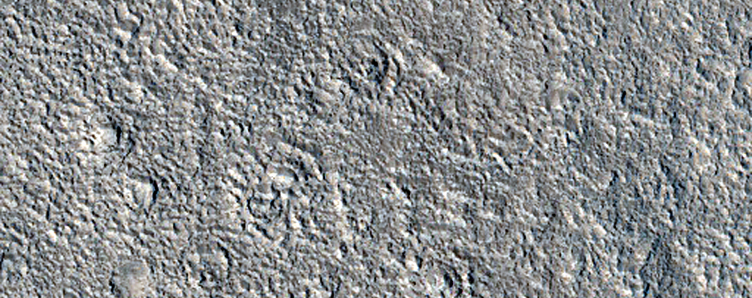 Flows in Utopia Planitia
