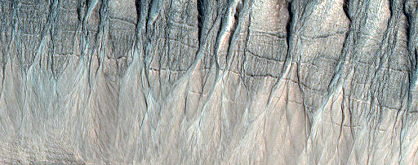 Gully Monitoring
