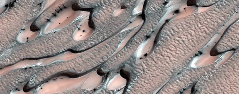 Chasma Boreale Terrain Sample