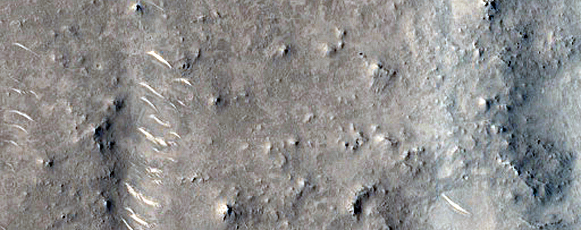 Arena Colles Terrain Sample