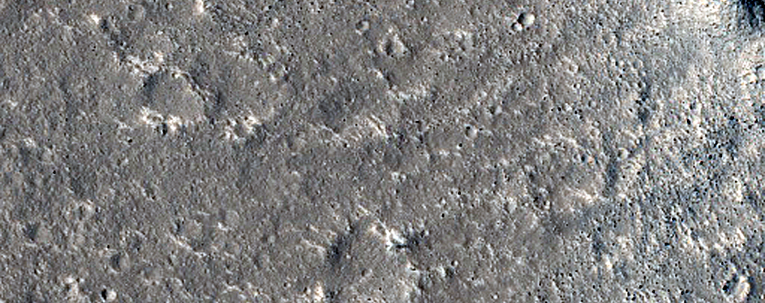 Terrain Sample