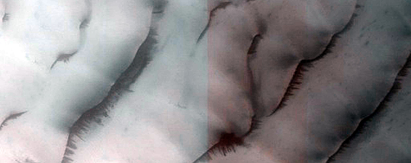 Abalos Undae Polar Crater Dunes