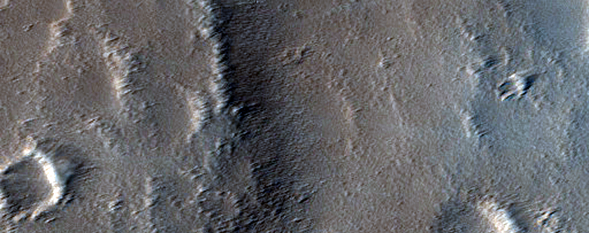 Terrain Sample near Elysium Mons