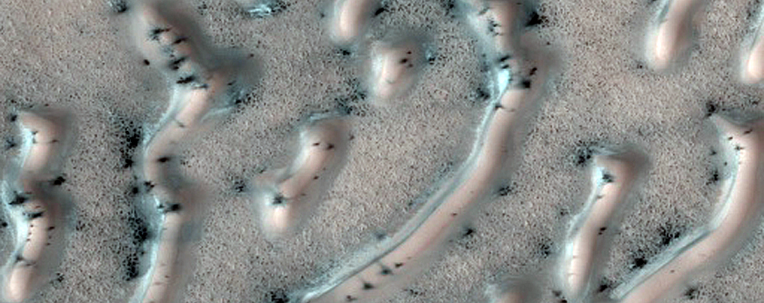 Northern Plains Terrain Sample