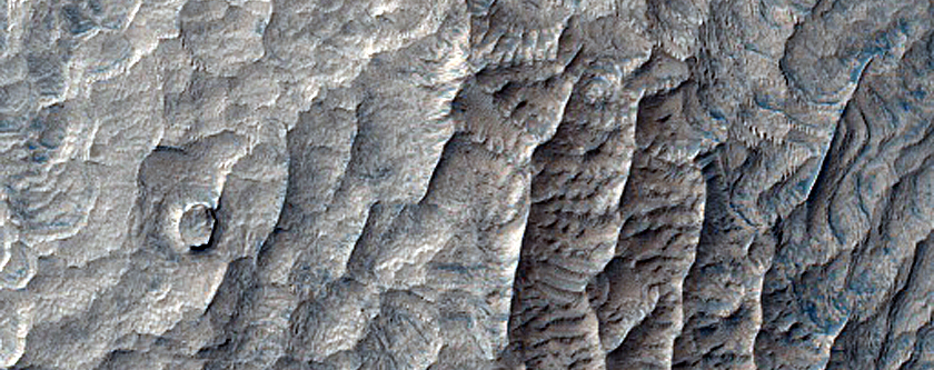 Layers near Western Edge of Schiaparelli Crater