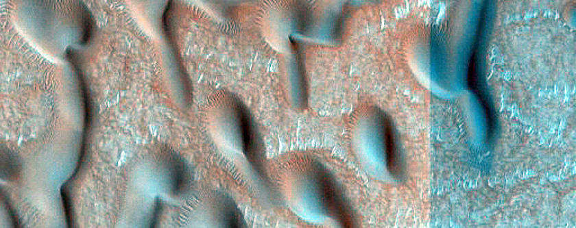 Dune Monitoring in Crater