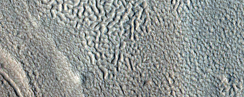 Gullies in Crater