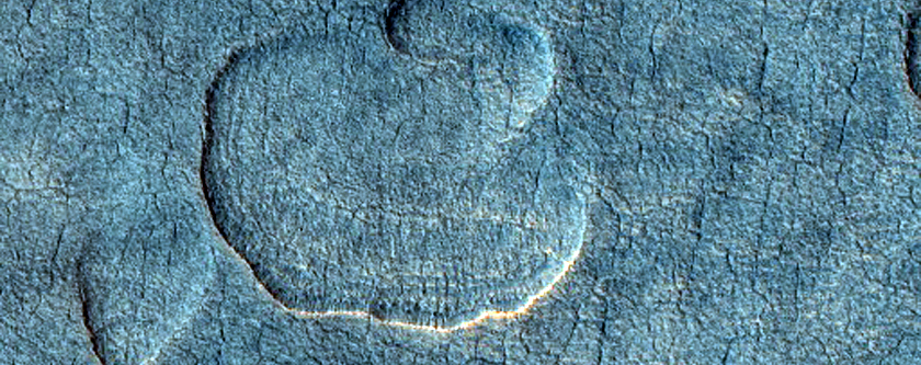 Scalloped Depressions in Utopia Planitia