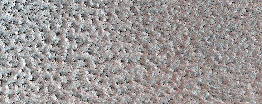 Monitor Northern Plains Bright Patches