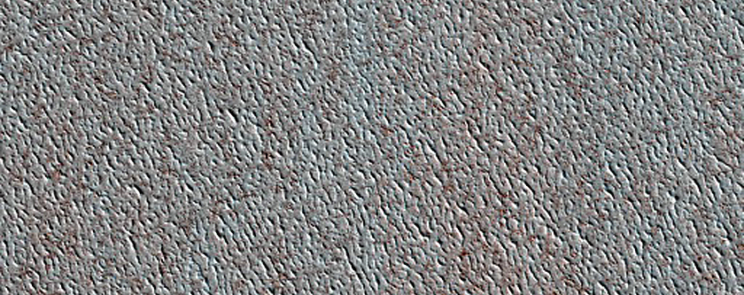 North Polar Residual Cap Monitoring