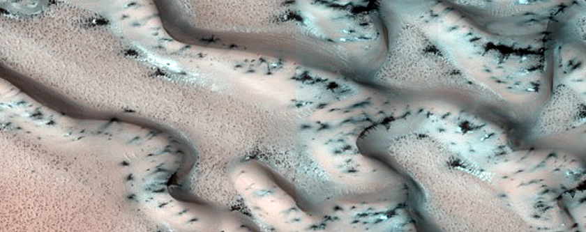 Dunes Dubbed Kaltain