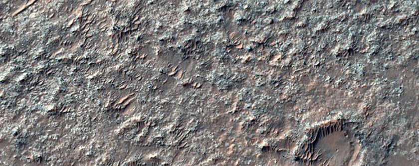 Rocky Ground