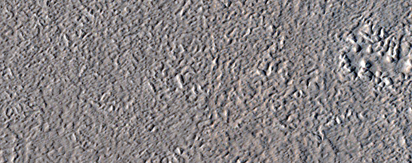 Terrain Sample