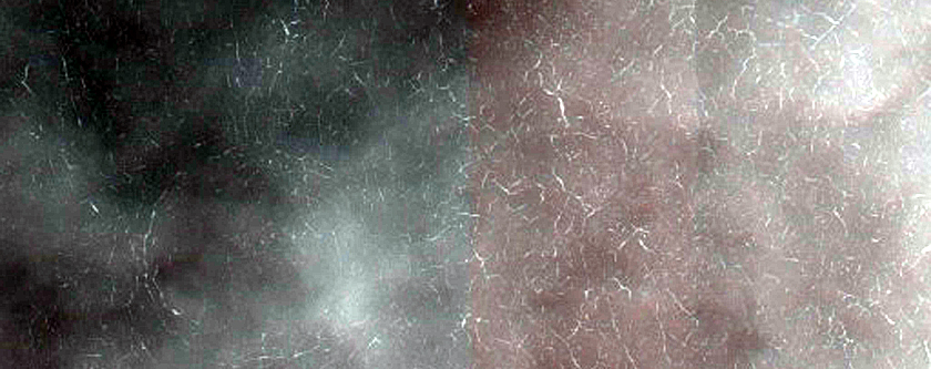 Terrain Sample
