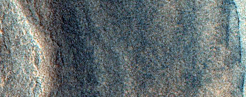 Terrain Sample