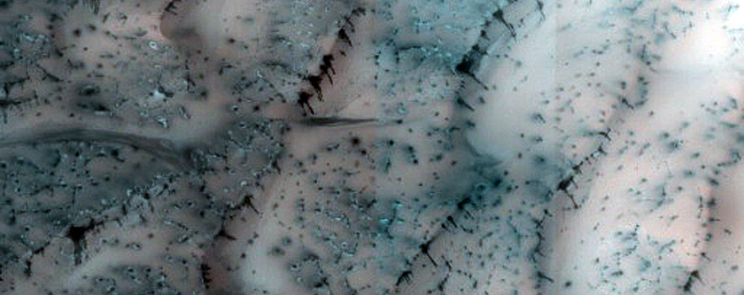 Polar Crater with Dunes and Patterned Ground