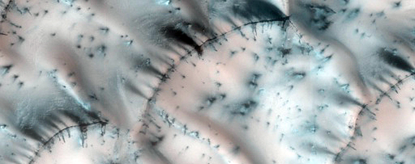 Polar Crater with Dunes and Summer Ice