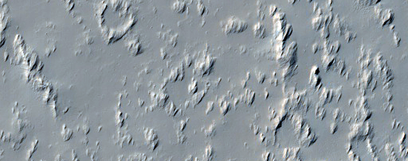Daedalia Planum