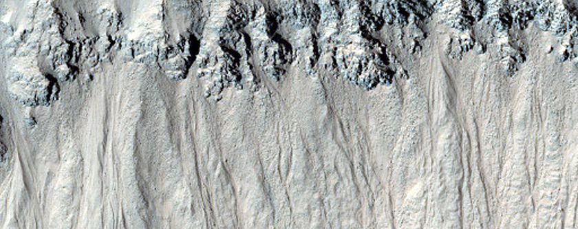 Gully Monitoring