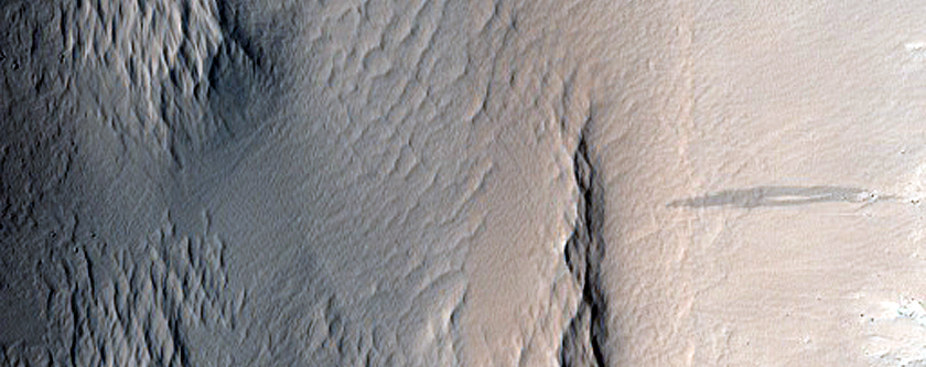 Mass Flow West of Elysium Chasma