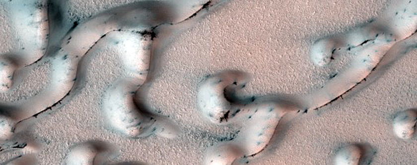 North Polar Dunes