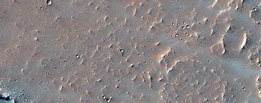 Sinuous Feature