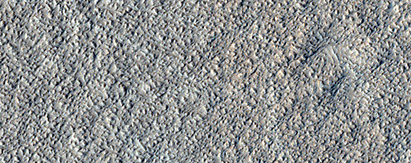 Amazonis Planitia Dust Devil Survey