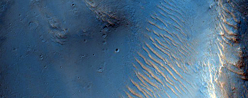 Terrain Sample