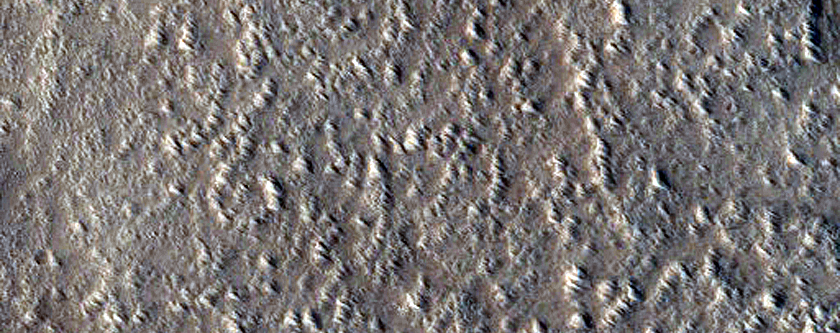 Terrain Sample