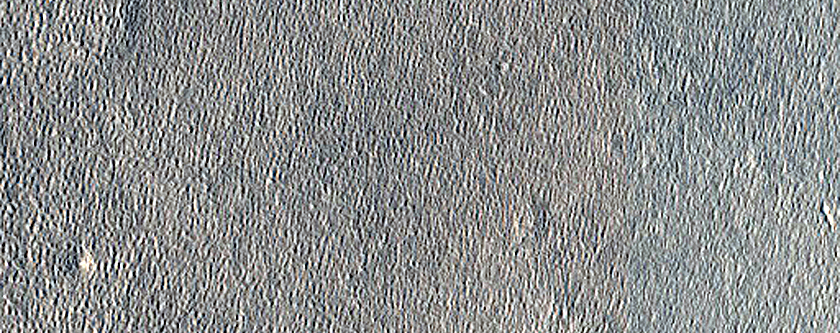 Unit Contact on Northern Plains