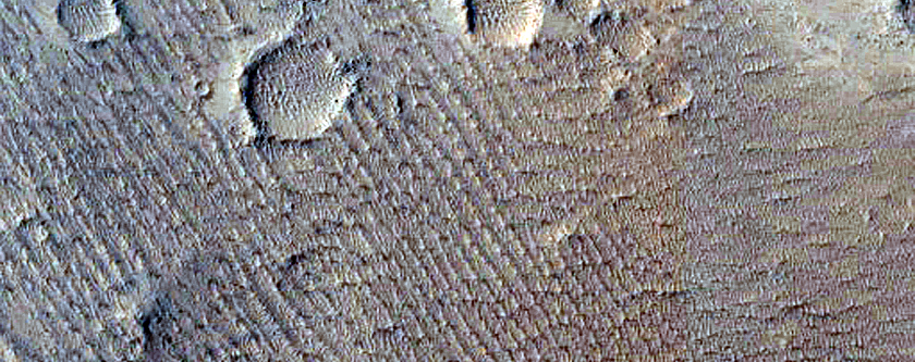 Terrain Sample