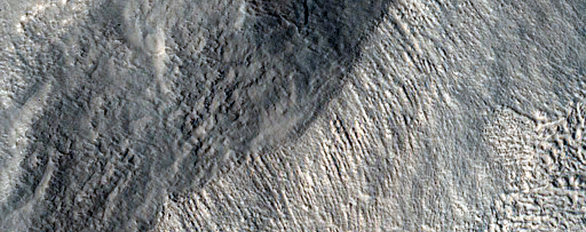 Surface Stratigraphy near Gullies