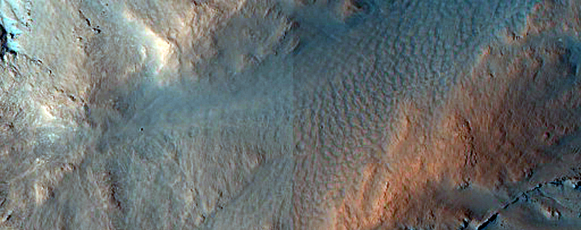 Gully Monitoring