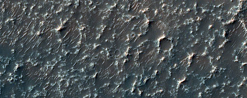 Possible Olivine-Bearing Crater Floor in Northern Noachis Terra
