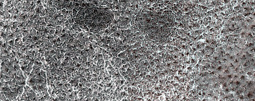 Terrain Sample