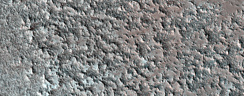 North Polar Boundary