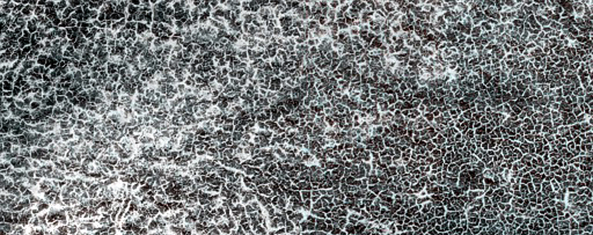 Terrain Sample