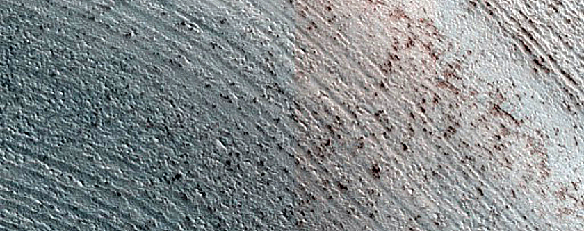 North Polar Terrain