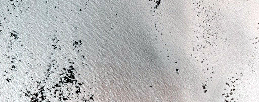 Persistent Northern Plains Ice Deposit Monitoring