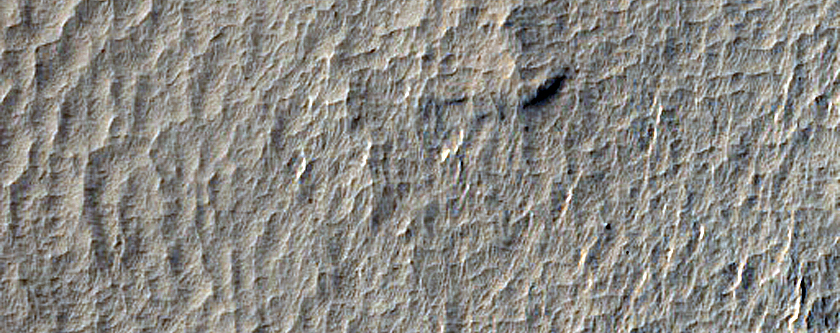 Terrain Sample