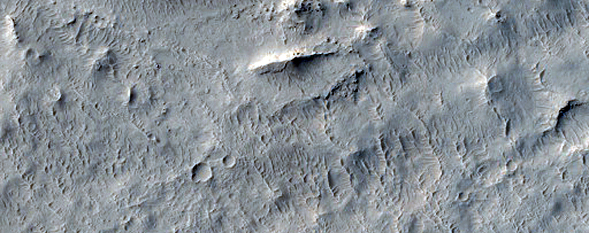 Southern Elysium Planitia