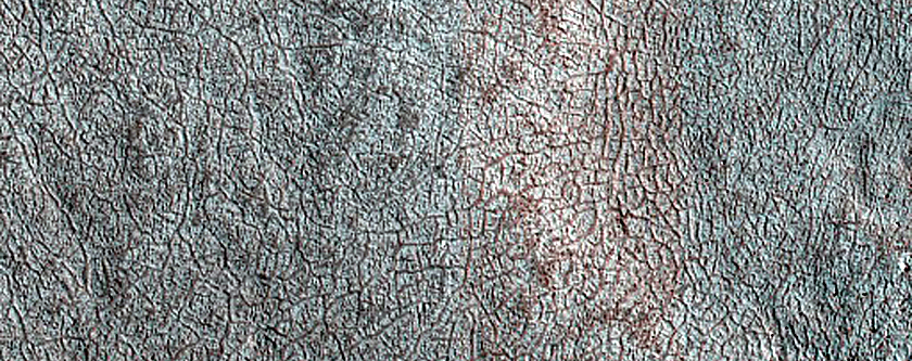 Terrain Sample