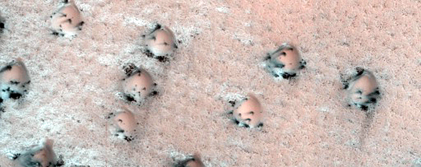 Southern Dunes in North Polar Erg