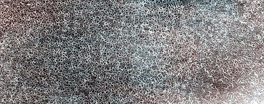 Terrain Sample
