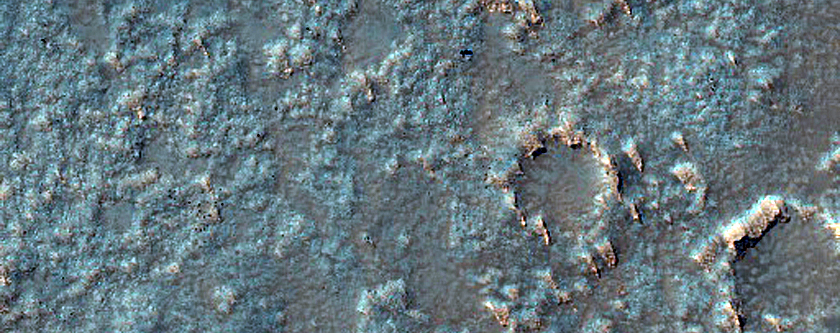 Patch in Volcanic Terrain