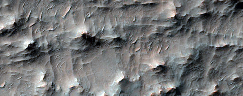 Terrain Sample